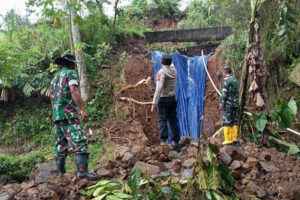 Longsor Landa Sawah Bantarkulon Lebakbarang Akibat Hujan Semalam