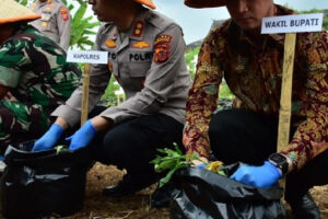 Polres Sumedang Luncurkan Program Tanam 15.000 Ubi Cilembu dalam Polybag (Sumedangkab)