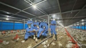 Laba dan Penjualan Japfa Comfeed (JPFA) Kompak Naik per Kuartal III-2025